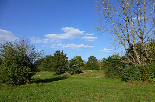 von der Zehntfeldstr