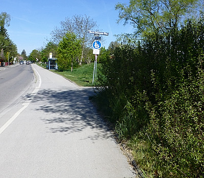 nach radikalem Schnitt